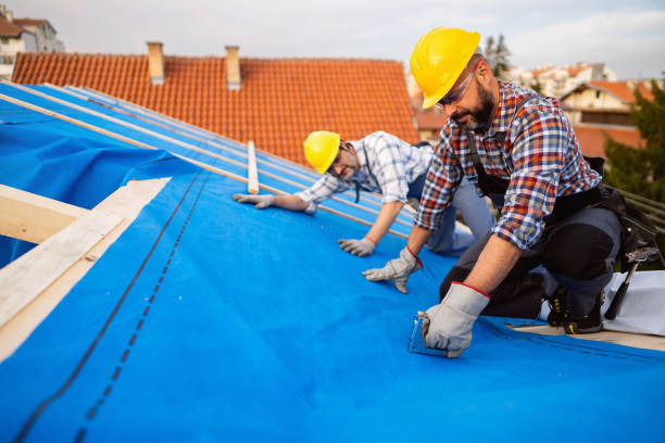 Best Roof Maintenance Services  in Attla, AL